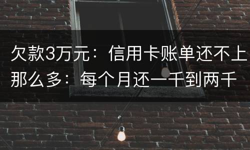欠款3万元：信用卡账单还不上那么多：每个月还一千到两千元：请问还要做坐牢吗