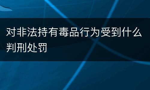 对非法持有毒品行为受到什么判刑处罚
