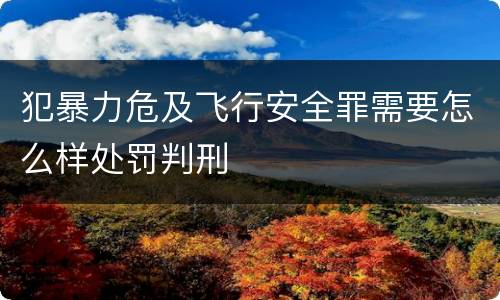 犯暴力危及飞行安全罪需要怎么样处罚判刑