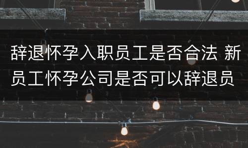 辞退怀孕入职员工是否合法 新员工怀孕公司是否可以辞退员工