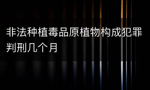 非法种植毒品原植物构成犯罪判刑几个月