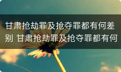 甘肃抢劫罪及抢夺罪都有何差别 甘肃抢劫罪及抢夺罪都有何差别呢