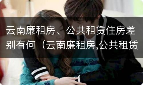 云南廉租房、公共租赁住房差别有何（云南廉租房,公共租赁住房差别有何规定）