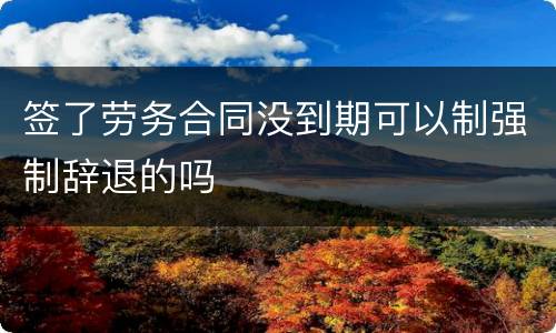 签了劳务合同没到期可以制强制辞退的吗