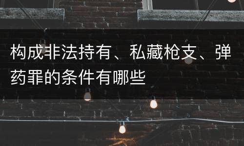 构成非法持有、私藏枪支、弹药罪的条件有哪些