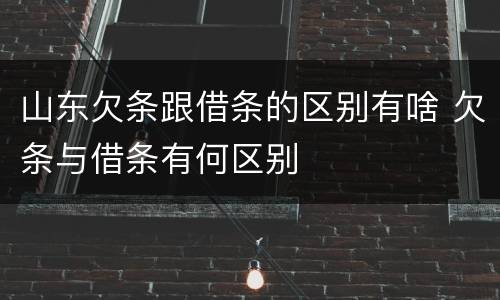 山东欠条跟借条的区别有啥 欠条与借条有何区别