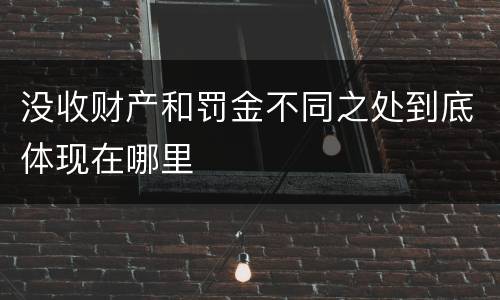没收财产和罚金不同之处到底体现在哪里