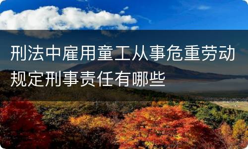 刑法中雇用童工从事危重劳动规定刑事责任有哪些
