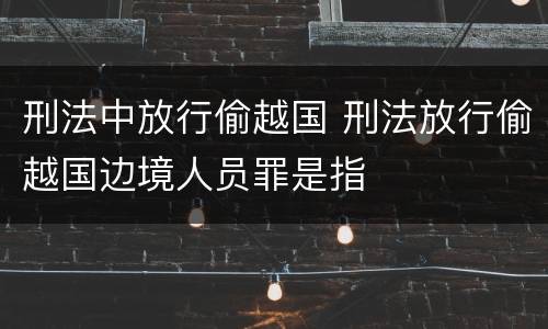 刑法中放行偷越国 刑法放行偷越国边境人员罪是指