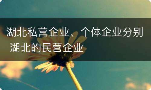 湖北私营企业、个体企业分别 湖北的民营企业