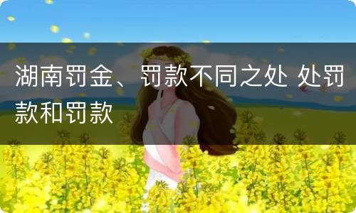 湖南罚金、罚款不同之处 处罚款和罚款