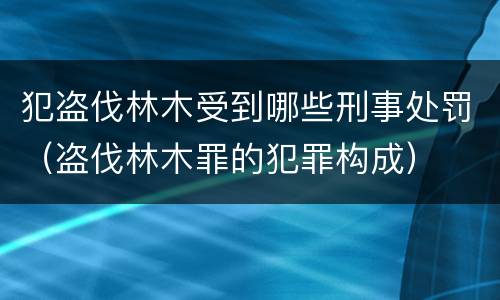 犯盗伐林木受到哪些刑事处罚（盗伐林木罪的犯罪构成）