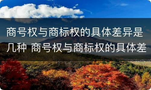 商号权与商标权的具体差异是几种 商号权与商标权的具体差异是几种情况