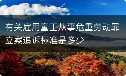 有关雇用童工从事危重劳动罪立案追诉标准是多少