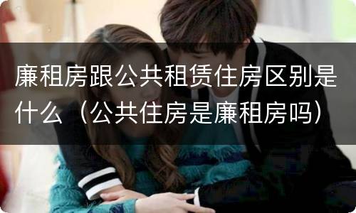 廉租房跟公共租赁住房区别是什么（公共住房是廉租房吗）