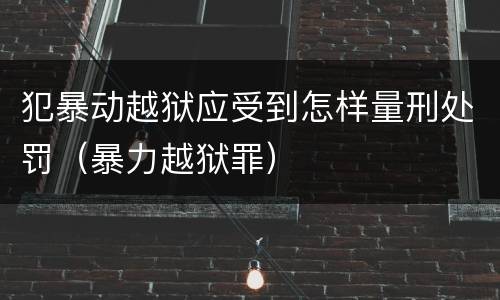 犯暴动越狱应受到怎样量刑处罚（暴力越狱罪）