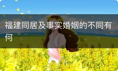 福建同居及事实婚姻的不同有何