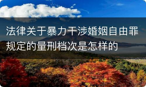 法律关于暴力干涉婚姻自由罪规定的量刑档次是怎样的