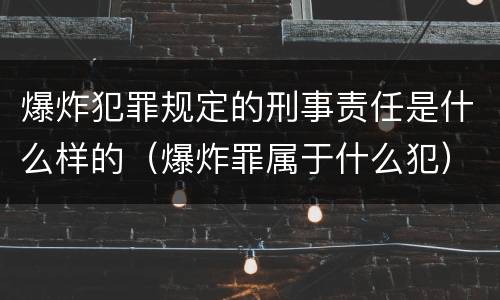 爆炸犯罪规定的刑事责任是什么样的（爆炸罪属于什么犯）