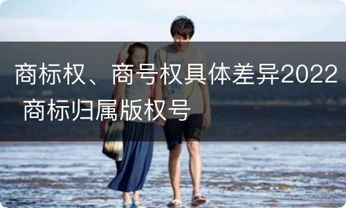 商标权、商号权具体差异2022 商标归属版权号