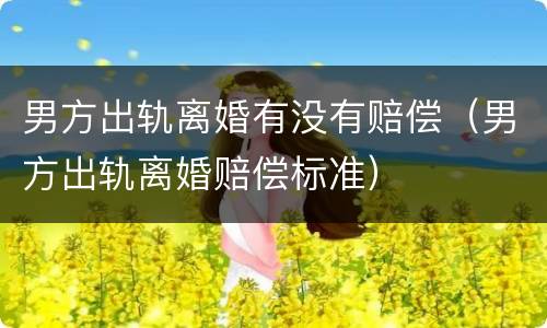 男方出轨离婚有没有赔偿（男方出轨离婚赔偿标准）