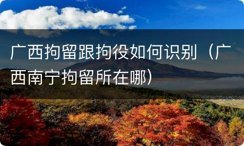 广西拘留跟拘役如何识别（广西南宁拘留所在哪）