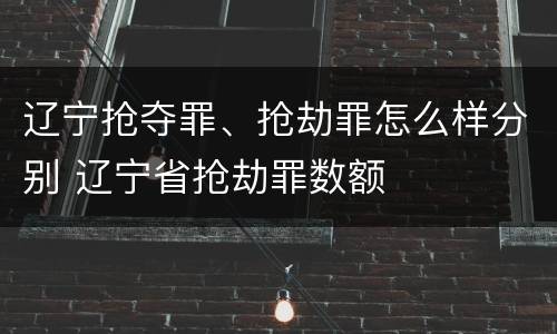 辽宁抢夺罪、抢劫罪怎么样分别 辽宁省抢劫罪数额