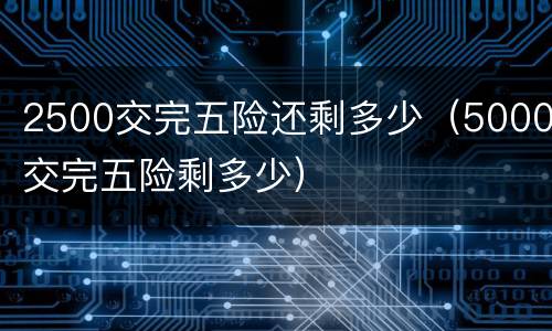 2500交完五险还剩多少（5000交完五险剩多少）