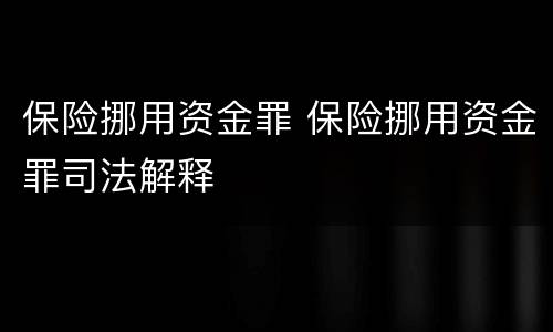 保险挪用资金罪 保险挪用资金罪司法解释