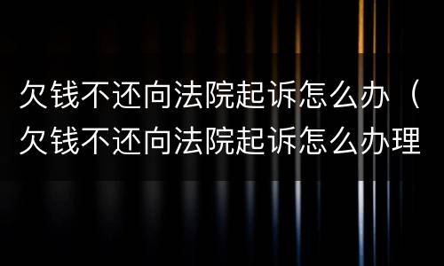 欠钱不还向法院起诉怎么办（欠钱不还向法院起诉怎么办理）