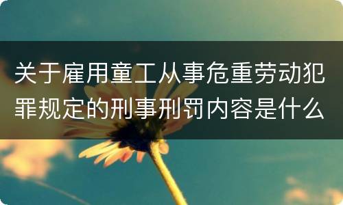 关于雇用童工从事危重劳动犯罪规定的刑事刑罚内容是什么