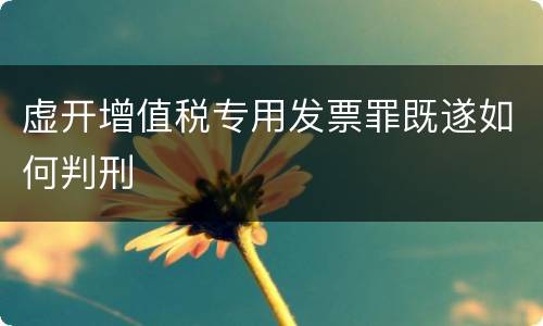 虚开增值税专用发票罪既遂如何判刑