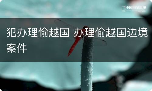 犯办理偷越国 办理偷越国边境案件