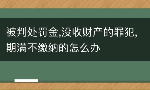 被判处罚金,没收财产的罪犯,期满不缴纳的怎么办