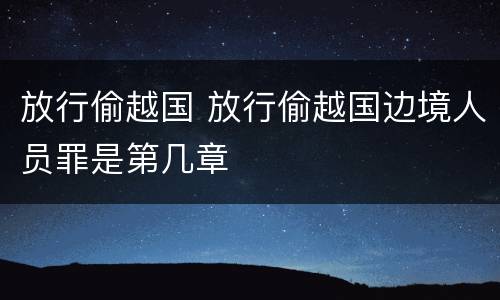 放行偷越国 放行偷越国边境人员罪是第几章
