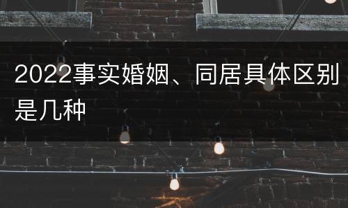 2022事实婚姻、同居具体区别是几种