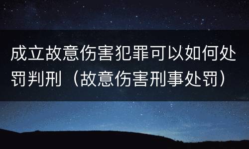 成立故意伤害犯罪可以如何处罚判刑（故意伤害刑事处罚）