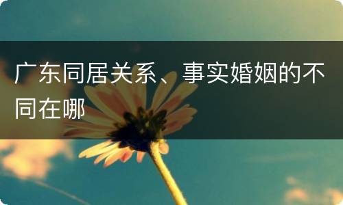 广东同居关系、事实婚姻的不同在哪