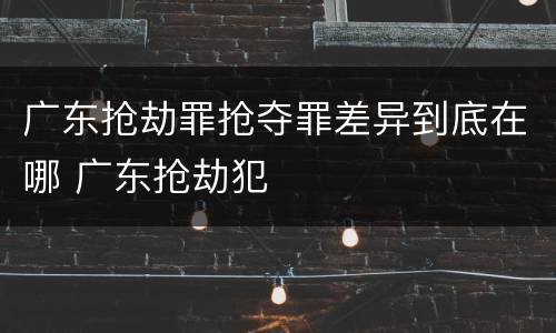 广东抢劫罪抢夺罪差异到底在哪 广东抢劫犯