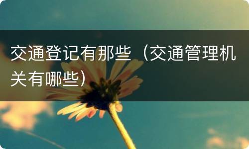 交通登记有那些（交通管理机关有哪些）