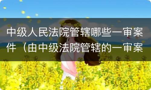 中级人民法院管辖哪些一审案件（由中级法院管辖的一审案件）