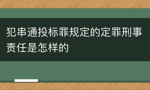 犯串通投标罪规定的定罪刑事责任是怎样的