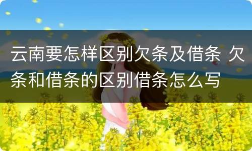 云南要怎样区别欠条及借条 欠条和借条的区别借条怎么写