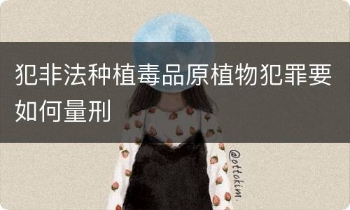犯非法种植毒品原植物犯罪要如何量刑