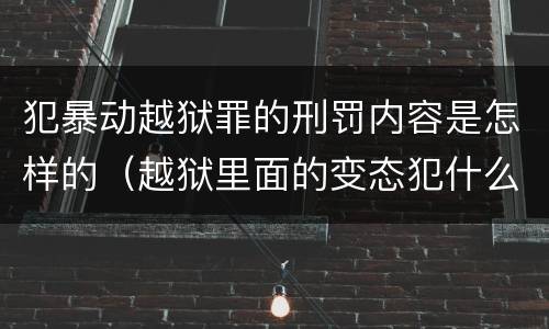 犯暴动越狱罪的刑罚内容是怎样的（越狱里面的变态犯什么罪）