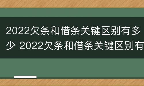 2022欠条和借条关键区别有多少 2022欠条和借条关键区别有多少个