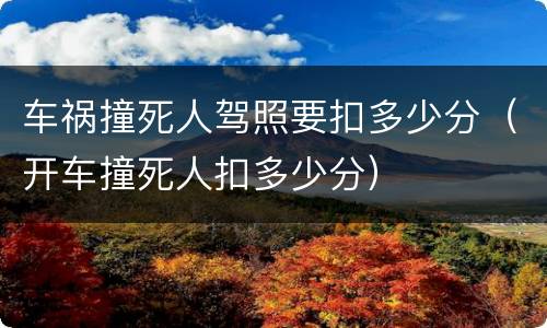 车祸撞死人驾照要扣多少分（开车撞死人扣多少分）