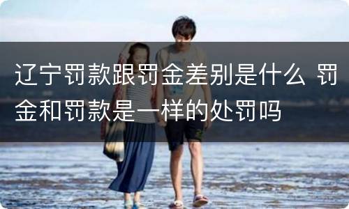 辽宁罚款跟罚金差别是什么 罚金和罚款是一样的处罚吗