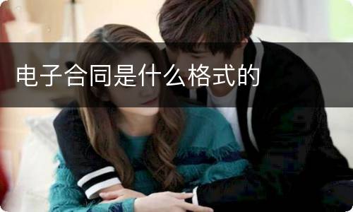 电子合同是什么格式的