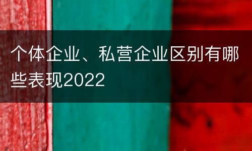 个体企业、私营企业区别有哪些表现2022